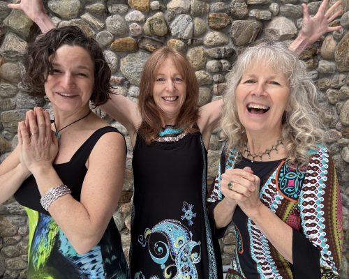 Blues at Les Jan 18 25 0446